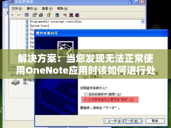 解决方案：当您发现无法正常使用OneNote应用时该如何进行处理