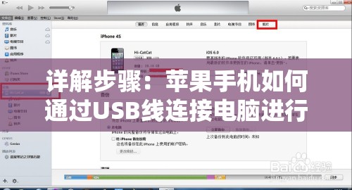 (放置江湖令狐掌门)放置江湖中的令狐冲，探寻武侠世界中的隐逸之地——江湖令狐冲放置地点大揭秘
