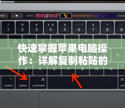 快速掌握苹果电脑操作：详解复制粘贴的常用快捷键指南