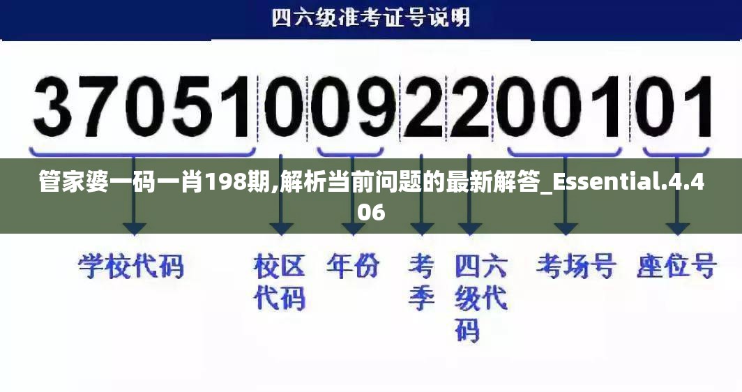 管家婆一码一肖198期,解析当前问题的最新解答_Essential.4.406