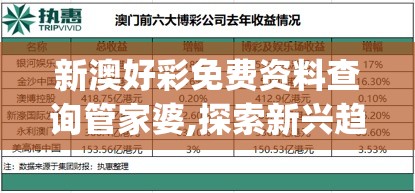 (大掌门是哪个公司的)大掌门粉丝圈层解析，揭秘粉丝群体的多元构成与独特魅力