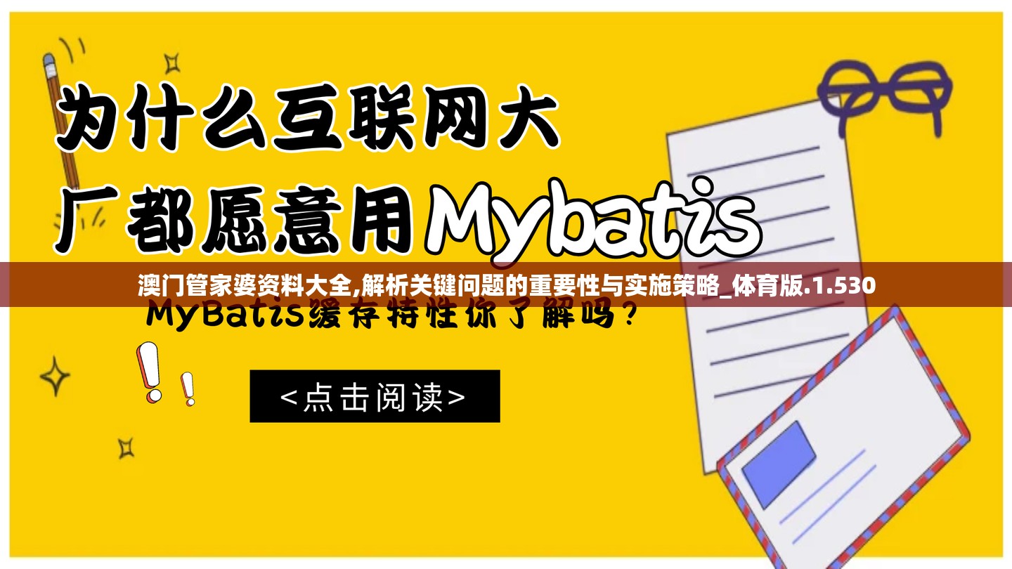 澳门管家婆资料大全,解析关键问题的重要性与实施策略_体育版.1.530