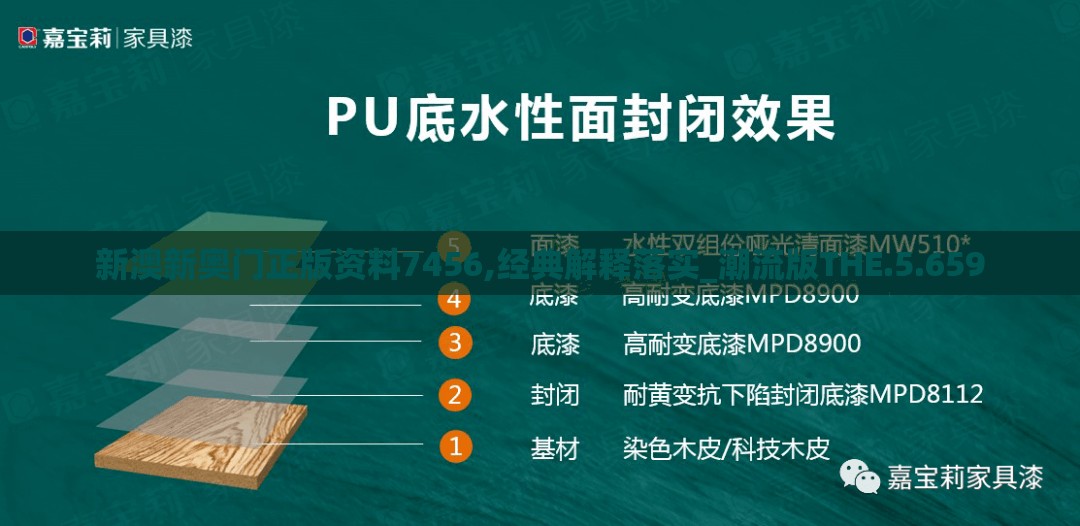 新澳新奥门正版资料7456,经典解释落实_潮流版THE.5.659