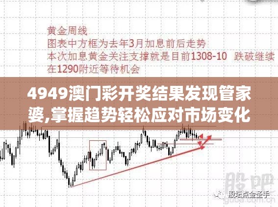 4949澳门彩开奖结果发现管家婆,掌握趋势轻松应对市场变化_PS.8.844