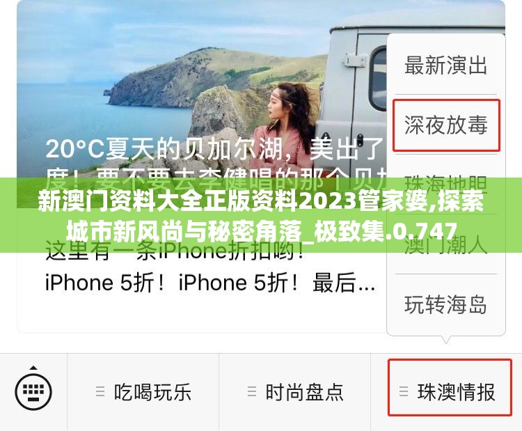 (金刚之印最新版本下载)金刚之印最新版深度解析，游戏革新与玩家体验的双重升级