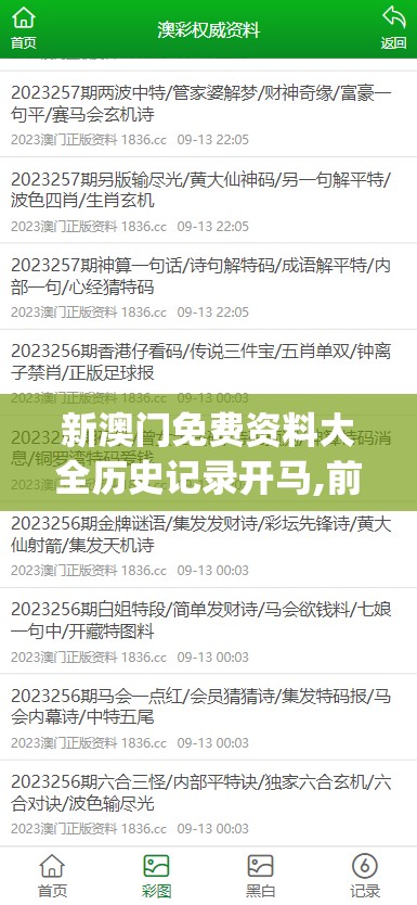 (疾风小侠青石)疾风小侠，揭秘武侠世界中的速度与激情