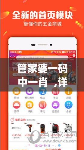 管家婆一码中一肖  ,详细解读解释落实_统筹版.9.304