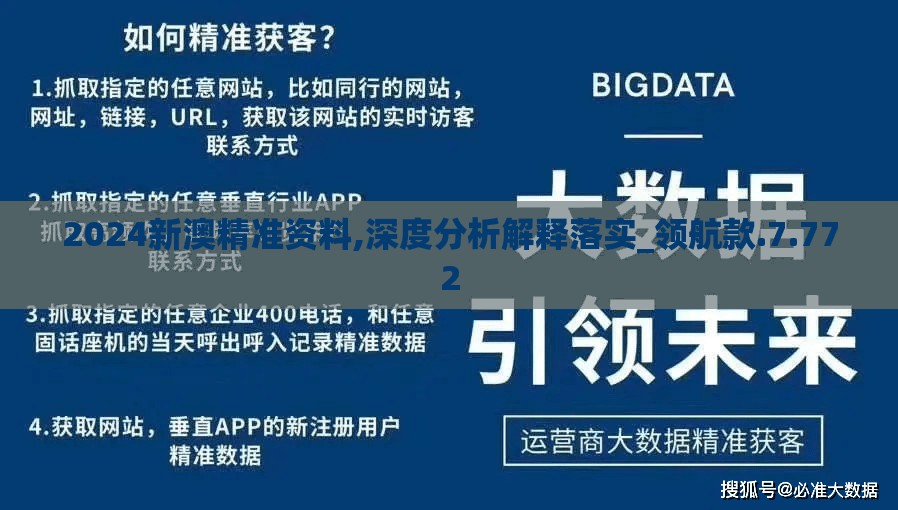 2024新澳精准资料,深度分析解释落实_领航款.7.772