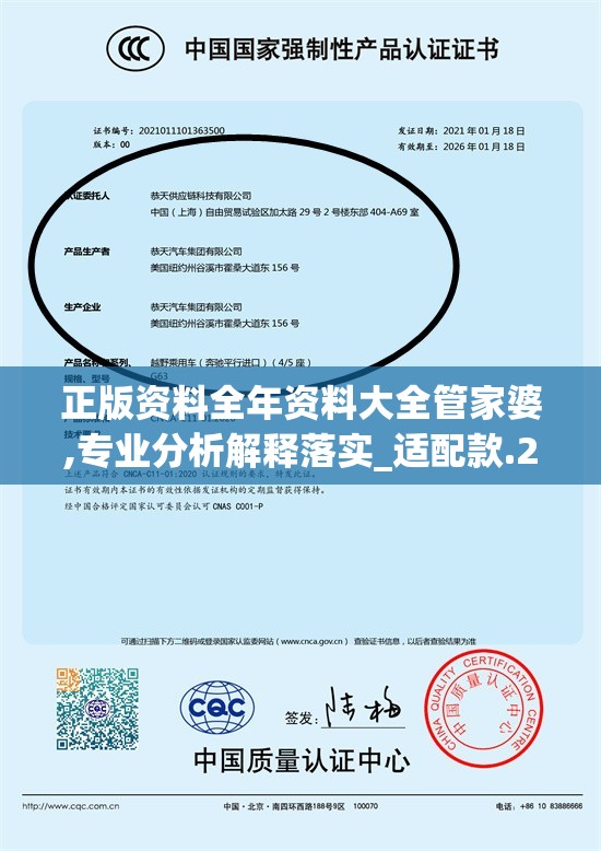 正版资料全年资料大全管家婆,专业分析解释落实_适配款.2.490
