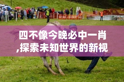 (白夜追凶第二季免费观看完整版)白夜追凶，探秘悬疑剧中的光影交错，解析人性的光明与黑暗