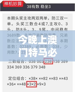 今晚上澳门特马必中一肖,专业研究解释落实_精细款.9.245