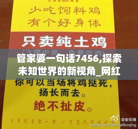 (魔力弹珠攻略视频)魔力弹珠攻略，全方位解析，助你轻松闯关