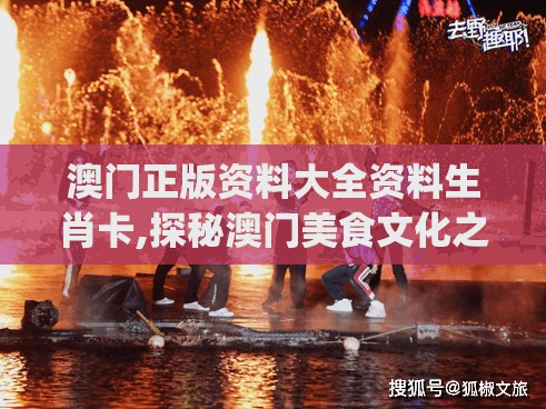 (口袋军团最新最强阵容)深入解析口袋军团官方网站，游戏攻略、社区互动与未来发展展望