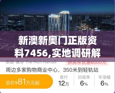 新澳新奥门正版资料7456,实地调研解释落实_领航型.9.114