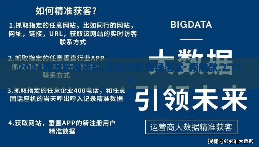2024新澳精准资料,深度分析解释落实_领航款.7.772