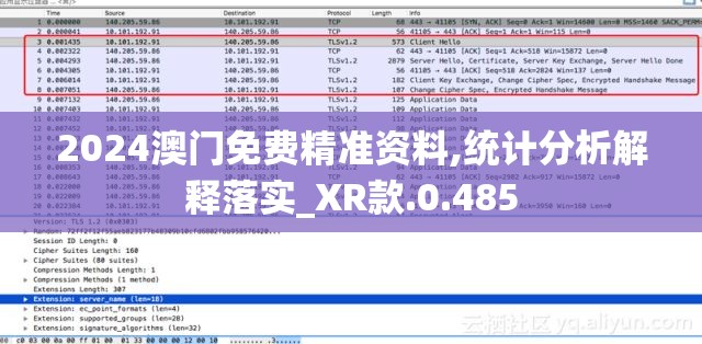 2024澳门免费精准资料,统计分析解释落实_XR款.0.485