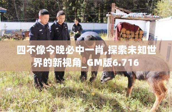 四不像今晚必中一肖,探索未知世界的新视角_GM版6.716