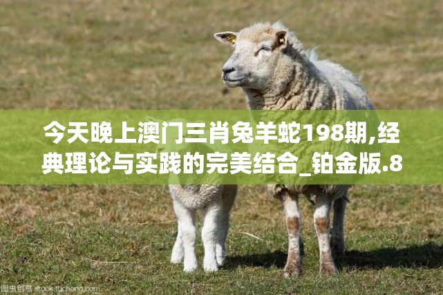 (新水浒q传官网手游)新水浒q传官方网站深度解析，游戏特色、玩法揭秘及常见问题解答