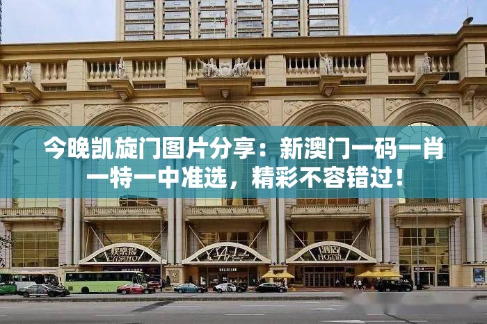 (喵与筑手游)喵与筑iOS停服时间揭晓，玩家情感与市场分析并行，游戏未来何去何从？