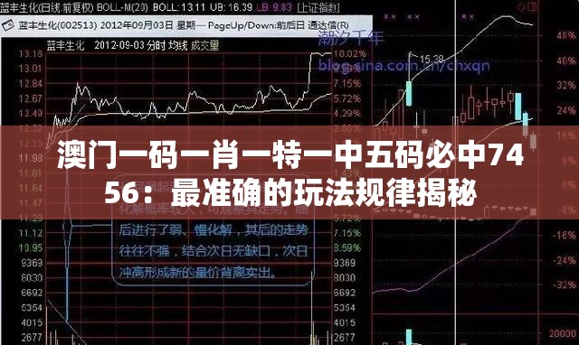 澳门一码一肖一特一中五码必中7456：最准确的玩法规律揭秘
