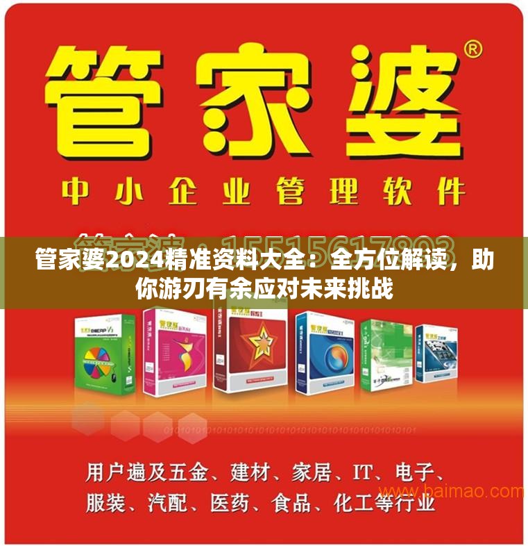 管家婆2024精准资料大全：全方位解读，助你游刃有余应对未来挑战