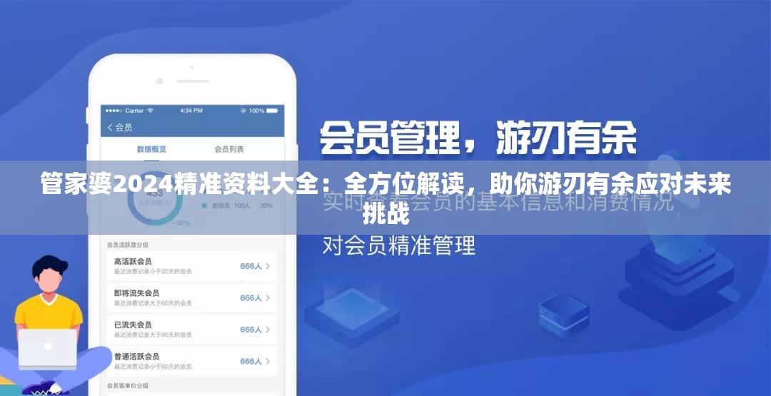 管家婆2024精准资料大全：全方位解读，助你游刃有余应对未来挑战