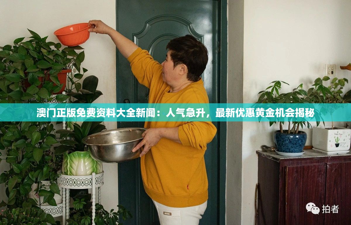 2024今晚澳门特马开什么码|探讨有效解答的实施方法_专用集.8.628
