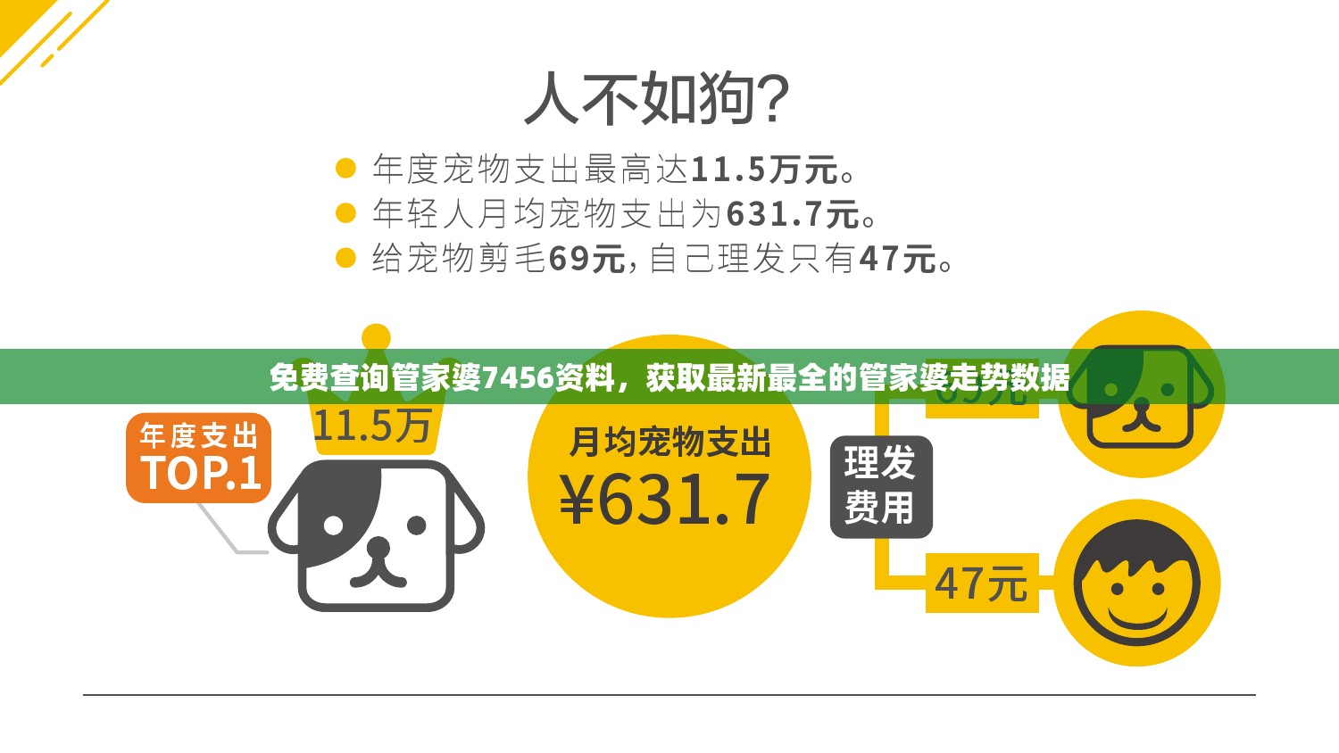 (以闪亮之名是什么游戏)以闪亮之名，揭秘打造璀璨游戏体验的幕后力量——游戏公司全解析