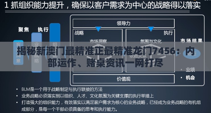 (天堂之光vip账号密码大全最新)天堂之光VIP账号密码大全揭秘，账号安全与游戏体验的平衡之道