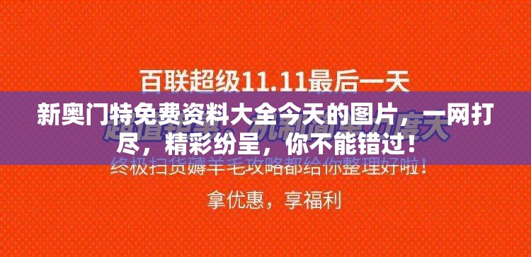 新奥门特免费资料大全今天的图片，一网打尽，精彩纷呈，你不能错过！