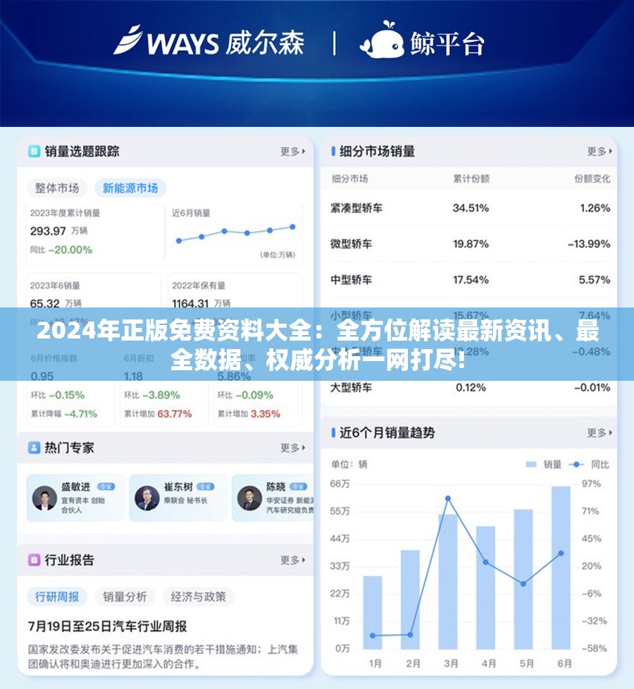 2024年正版免费资料大全：全方位解读最新资讯、最全数据、权威分析一网打尽!