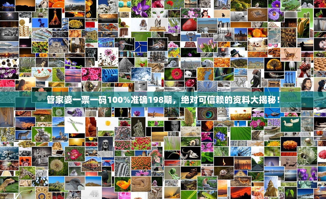 管家婆一票一码100%准确198期，绝对可信赖的资料大揭秘！