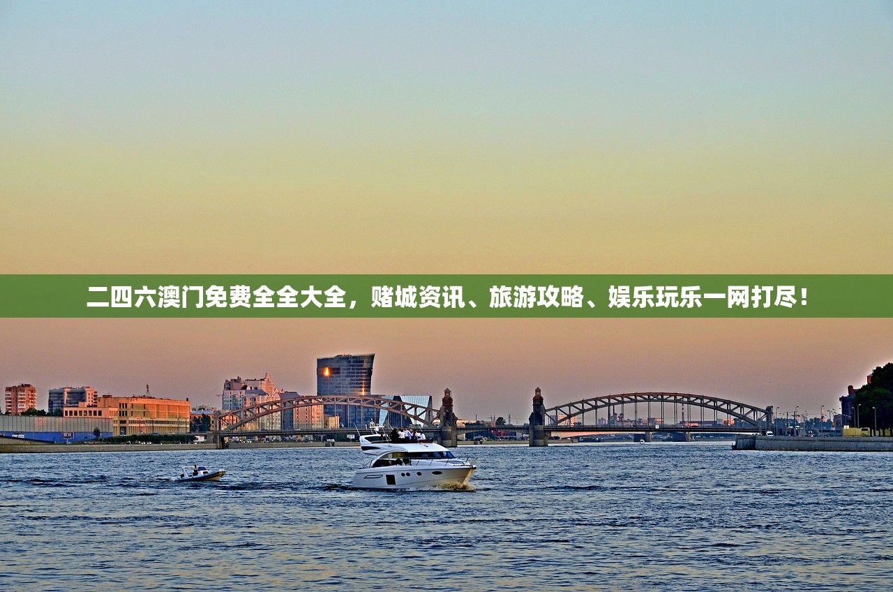 (霸王2剑客加点)霸王2攻略剑客，深度解析剑客职业玩法与技巧，助你称霸战场！