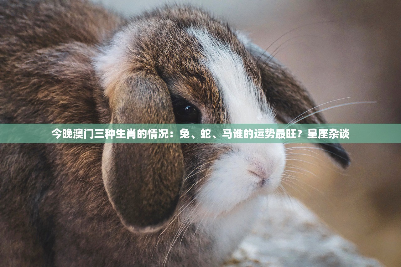 今晚澳门三种生肖的情况：兔、蛇、马谁的运势最旺？星座杂谈