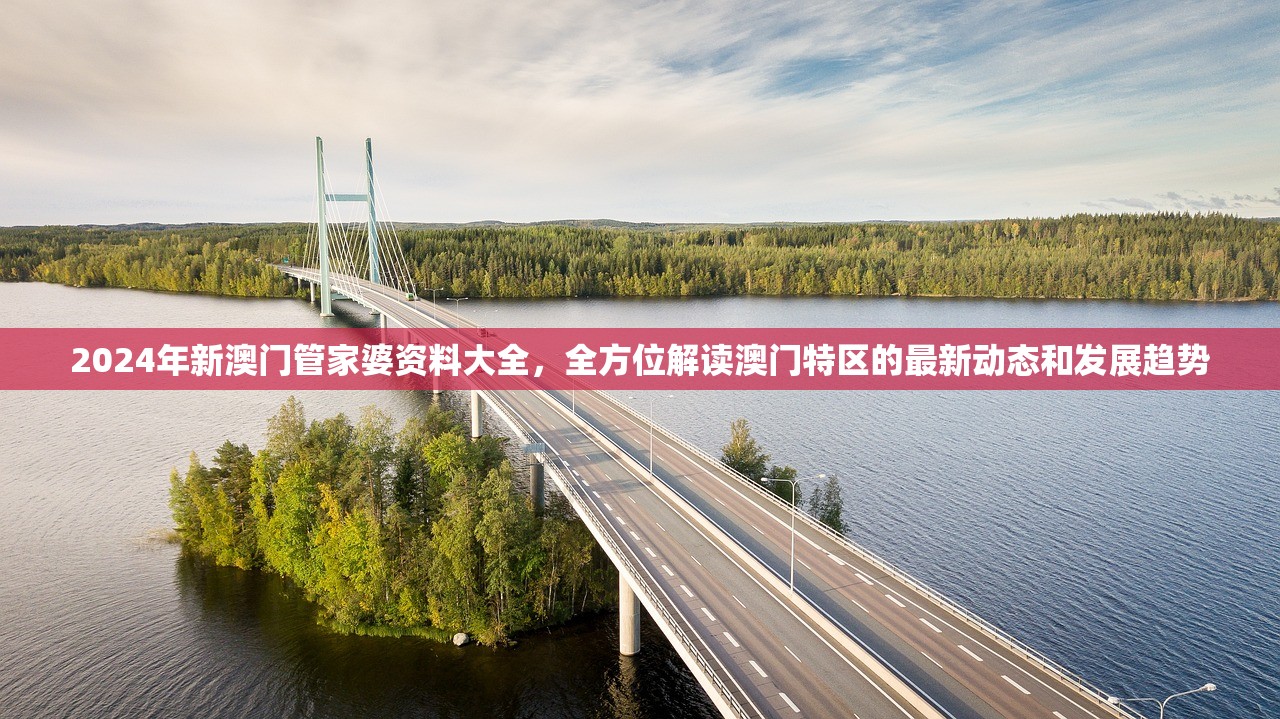 艾塔纪元龙渊芯片搭配，探索未来科技的新篇章
