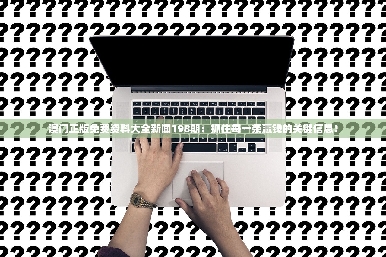 (破解版游戏(内置菜单)大全)破解版游戏内置菜单，破解与体验的双重享受解析