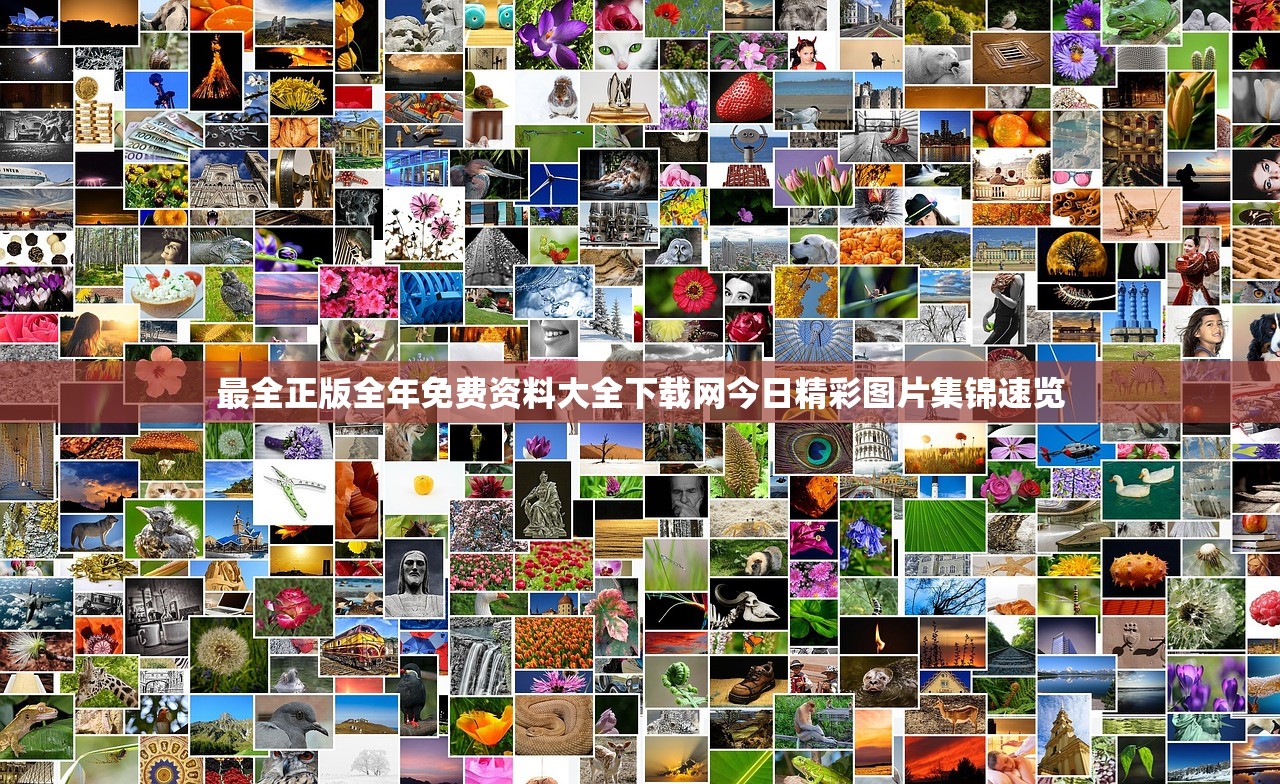 最全正版全年免费资料大全下载网今日精彩图片集锦速览