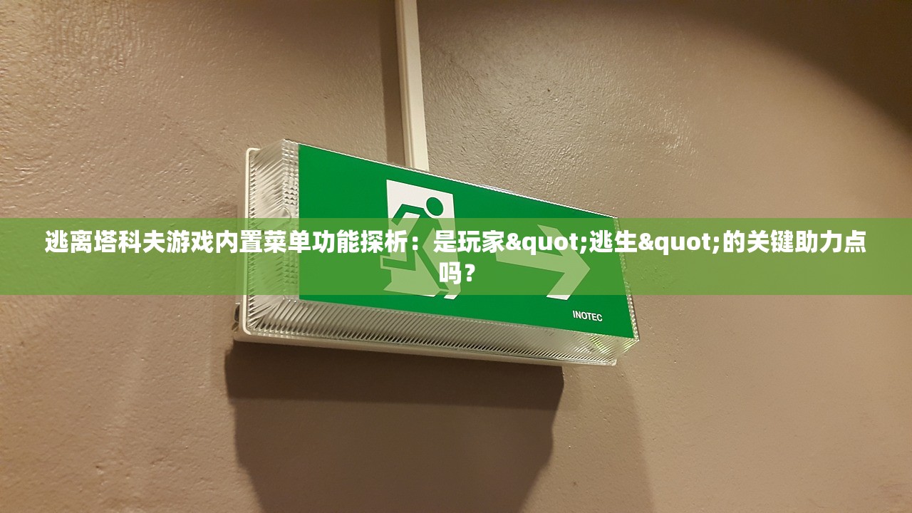 逃离塔科夫游戏内置菜单功能探析：是玩家"逃生"的关键助力点吗？