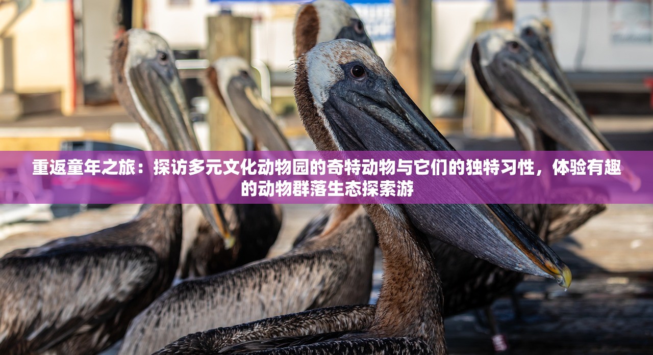 重返童年之旅：探访多元文化动物园的奇特动物与它们的独特习性，体验有趣的动物群落生态探索游