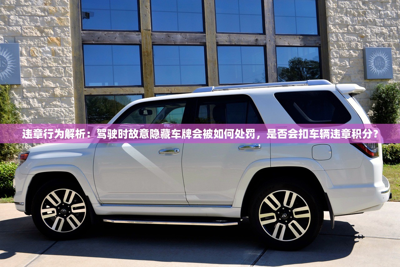 (部落战魂游戏)部落战魂吧，揭秘虚拟战场中的战魂部落，探讨游戏社交新趋势