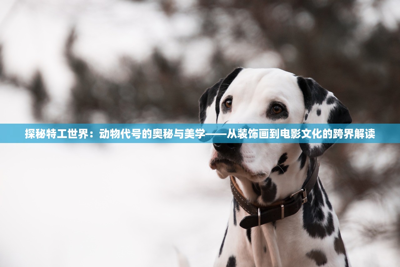 探秘特工世界：动物代号的奥秘与美学——从装饰画到电影文化的跨界解读