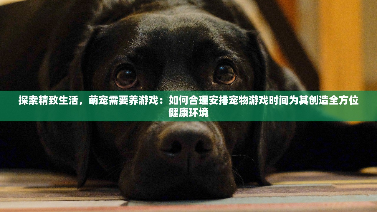 (符石守护者内购版)深度解析，符石守护者安卓免内购攻略，畅玩不花钱的五大秘诀揭秘！