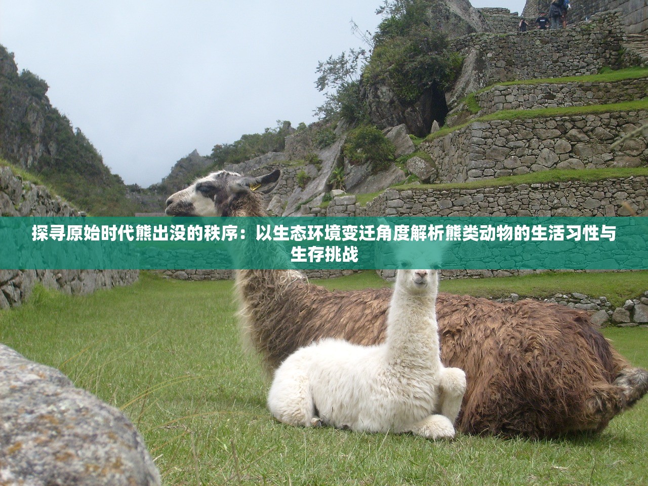 (星之翼儿童成长中心信用代码)星之翼儿童成长中心，打造孩子多元发展的摇篮