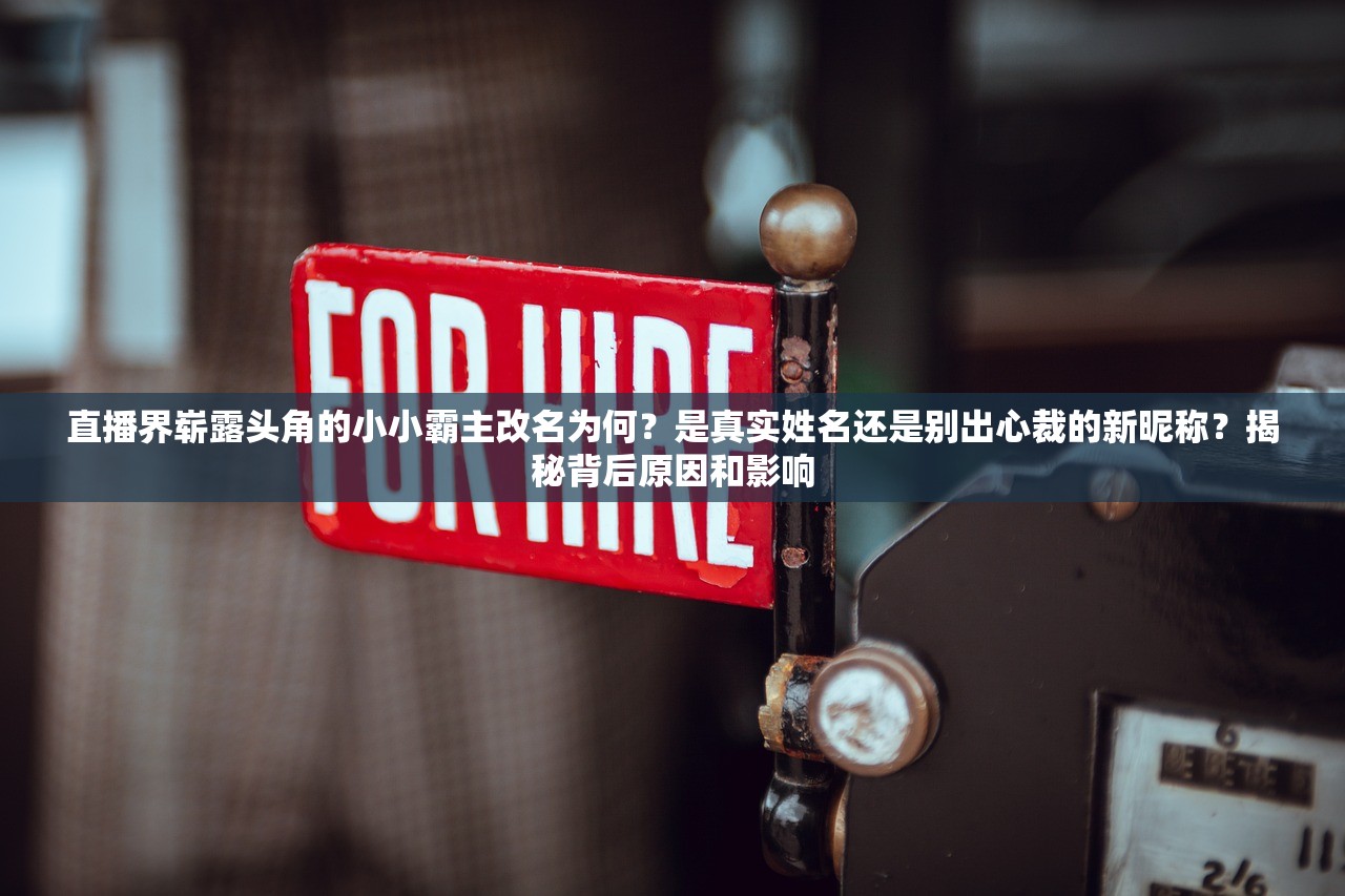 (百战封神礼包)百战封神，揭秘白嫖玩家的游戏攻略与挑战