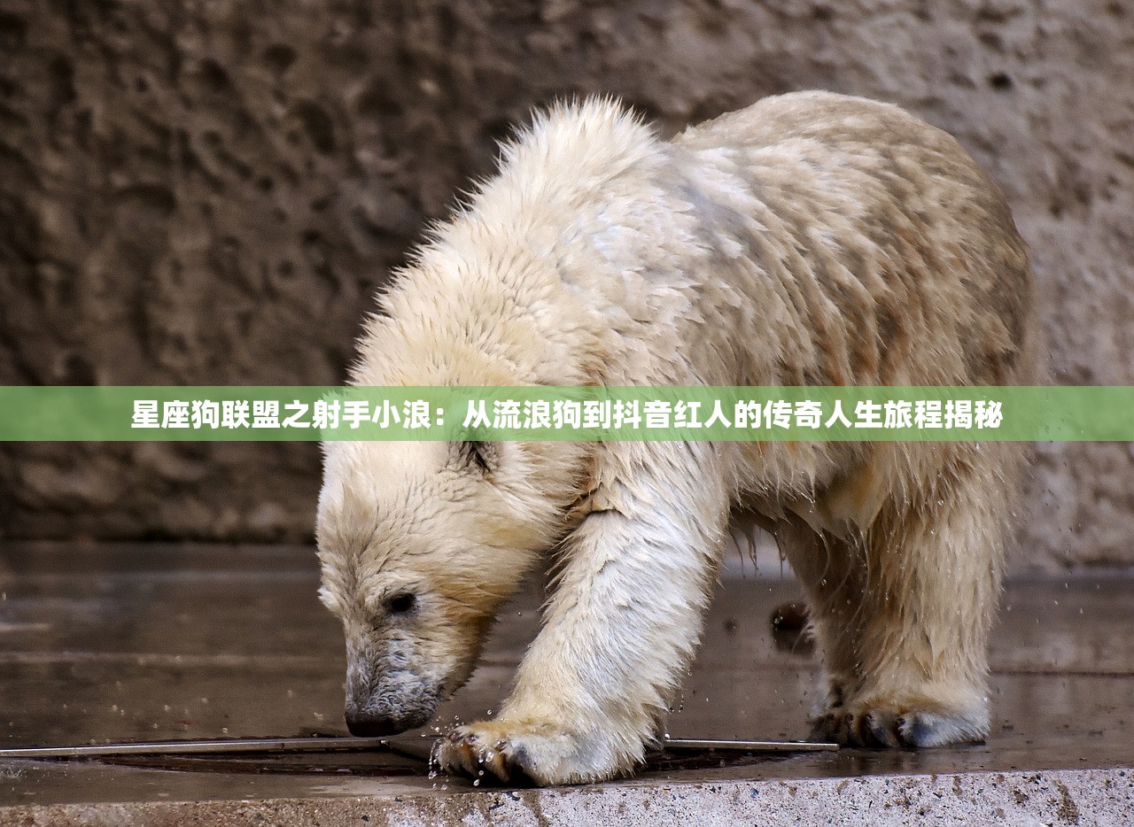(封神争霸3d官网)封神争霸3D，探寻东方神话世界的虚拟征程——深度解析3D游戏魅力与挑战