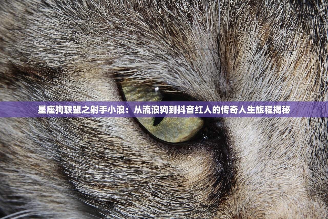 (铸仙之镜怎么重置角色属性)铸仙之镜攻略，深度解析角色重置技巧及常见问题解答