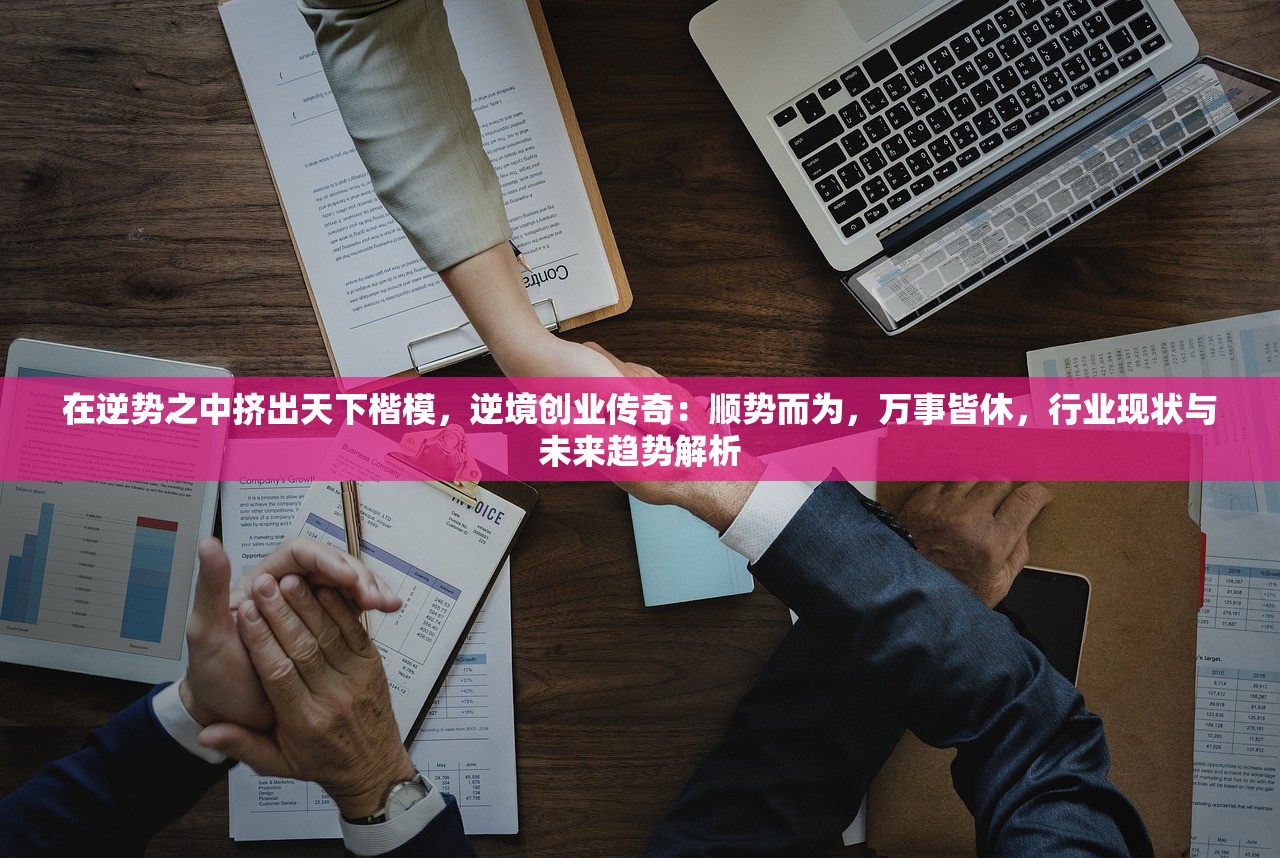 (代号:wt)代号WT歼击车，揭秘现代战车设计中的科技与战略考量