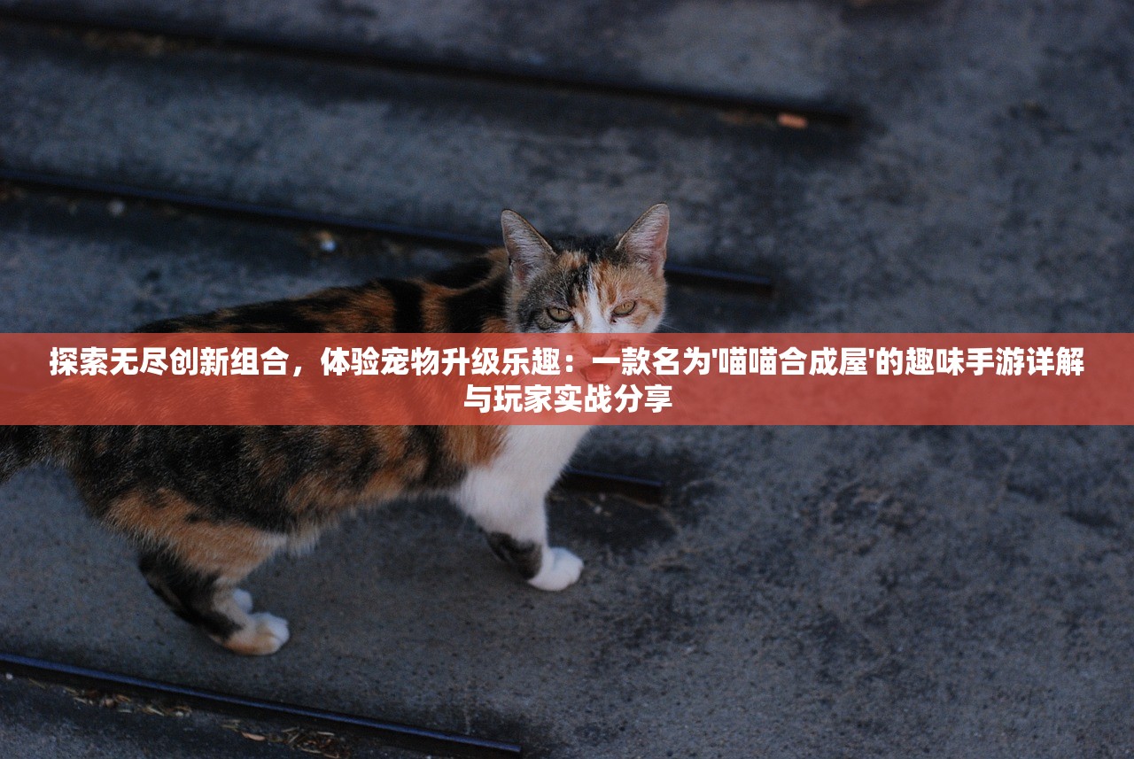 (超强口径技能大全图片)超强口径技能大全，揭秘全方位提升技能的奥秘