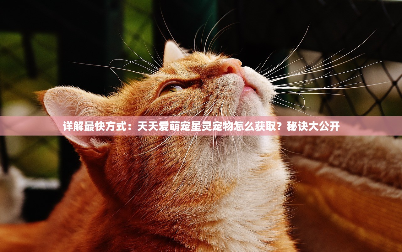 (春秋霸业什么意思)春秋霸业生肖之谜，探寻古代霸主背后的生肖密码