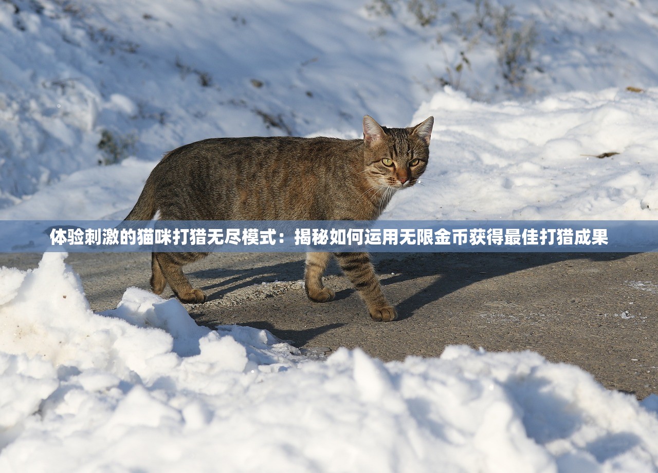 (独步逍遥动漫在线观看全集免费播放)独步逍遥，探寻自由自在的人生境界